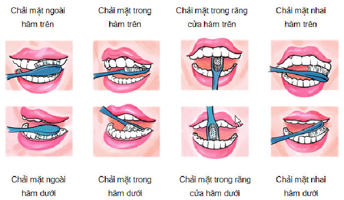 Bí Quyết Chăm Sóc Răng Miệng Đúng Cách qua việc đánh răng
