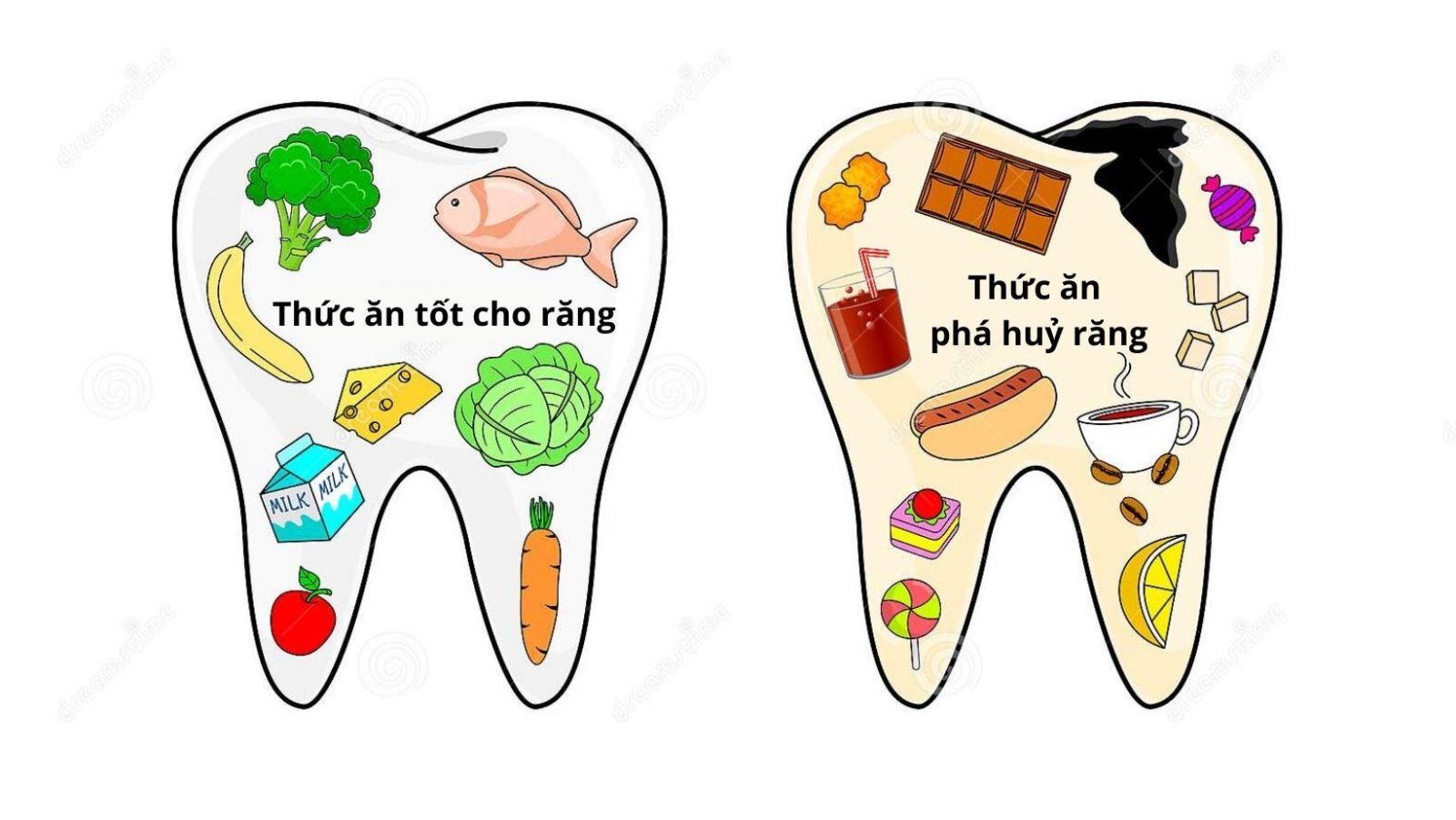Dinh dưỡng trong Bí Quyết Chăm Sóc Răng Miệng Đúng Cách